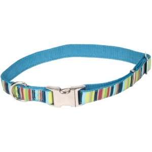  Pet Attire Ribbon Dog Collar, 18 26 Inches, Multi stripe 