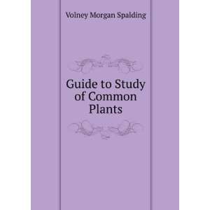    Guide to Study of Common Plants Volney Morgan Spalding Books
