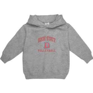   Grey Toddler/Kids Varsity Washed Volleyball Arch Hooded Sweatshirt