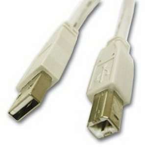  Cables To Go USB Cable. 10FT USB AB DEVICE USBA TO USBB 