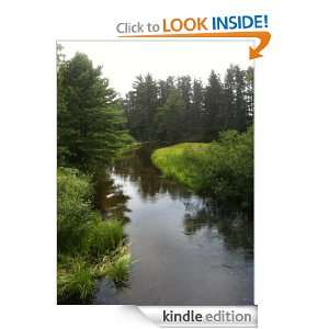 Bears Do It In The Woods James Fromm  Kindle Store