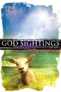   God Sightings the One Year Companion Guide by Group 
