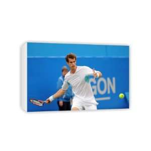 Andy Murray   Canvas   Medium   30x45cm