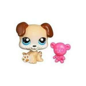  Littlest Pet Shop Puppy with Teddy Bear #143 Toys & Games