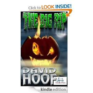 The Big Rip David Hoof  Kindle Store