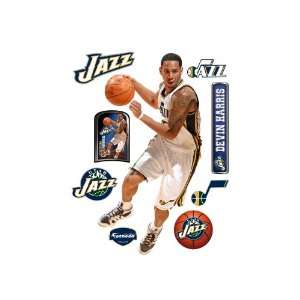  NBA Utah Jazz Devin Harris Wall Graphic