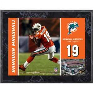  Brandon Marshall Miami Dolphins 8x10 Marble Color Player 