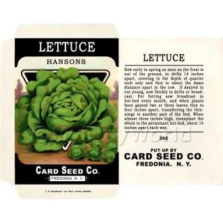 Dolls House Miniature Hansons Lettuce Seed Packet SP33  