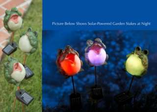 Lighted Solar Power Chubby Frog Garden Stakes  
