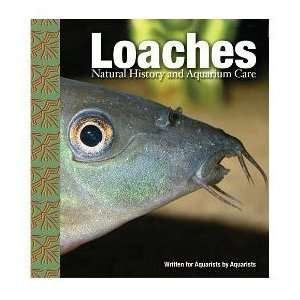  Loaches Natural History and Aquarium Care (Quantity of 1 