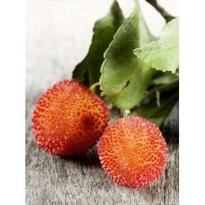  Fruit of the Strawberry Tree (Arbutus) with Leaves Premium 