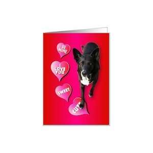 Valentine Greeting with Lovable Dog Card