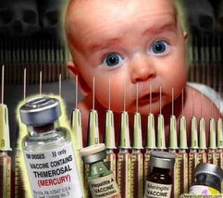 Vaccines The Hidden Truth DVD Toxic Autism Mercury Nwo  