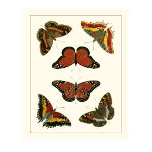 com Cramer Butterflies I Premium Giclee Poster Print by Pieter Cramer 