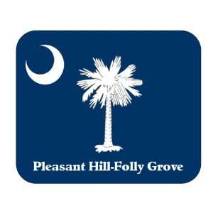  US State Flag   Pleasant Hill Folly Grove, South Carolina 