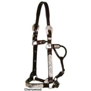  Circle Y Silver Raised Floral Show Halter Year Chy