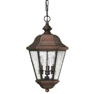 Clifton Beach Dark Sky and Energy Efficient Outdoor Hanging Lantern in 