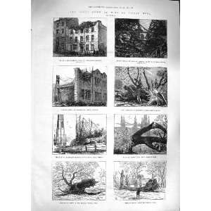   1881 Storm Wind Eton Greenwich London Shoreditch Tree