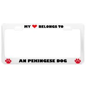  An Pekingese Dog Pet White Metal License Plate Frame Tag 