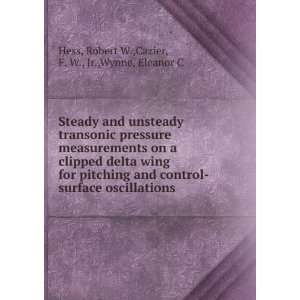  Steady and unsteady transonic pressure measurements on a 