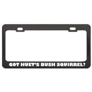 Got HuetS Bush Squirrel? Animals Pets Black Metal License Plate Frame 