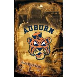  Auburn University Tigers Vintage Wall Mural Wallpaper 