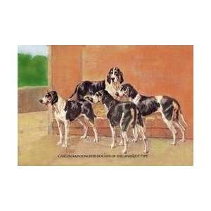  Gascon Saintongeois Hounds of the Levesque Type 12x18 