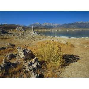 (Calcium Carbonate), Mono Lake, Tufa State Reserve, California, USA 