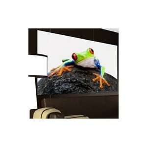  Frogs digital pictures printed on canvas