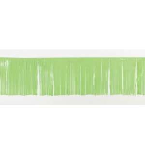  Lets Party By Creative Converting Citrus Green Fringe 