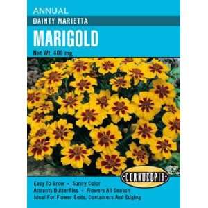  Marigold Dainty Marietta Seeds Patio, Lawn & Garden