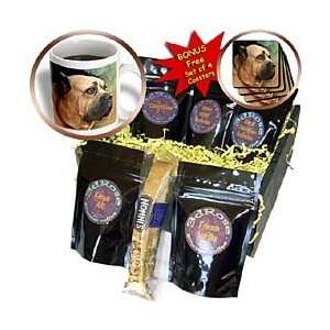 Dogs Cane Corso   Cane Corso   Coffee Gift Baskets   Coffee Gift 