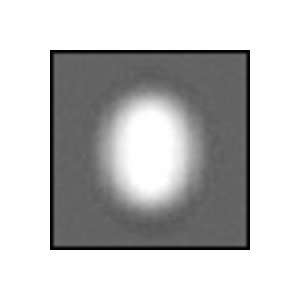  Cokin P141 Filter, P, Oval Center Spot/ Black Camera 