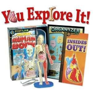  You Explore It Human Body Toys & Games