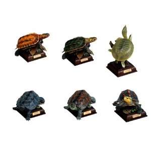   Turtle, Chinese Pond Turtle, Chinese Soft Shelled Turtle Toys & Games