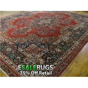    10 2 x 13 4 Birjand Hand Knotted Persian rug