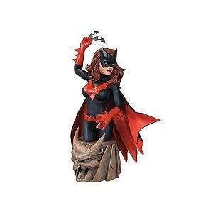   Women of the DC Universe Series 2 Batwoman Bust Toys & Games