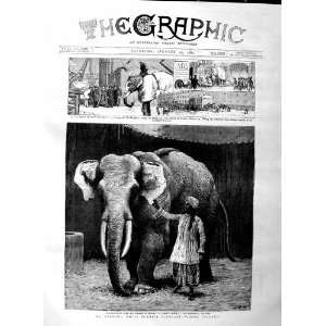   1884 BARNUM BURMESE ELEPHANT TOUNG TALOUNG TENASSERIM
