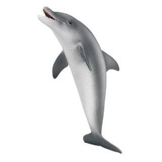  dolphins Toys & Games