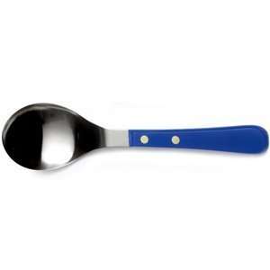  Provencal Blue Stainless Steel Serving Spoon