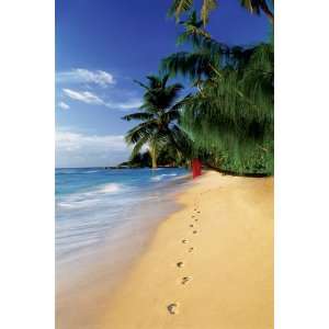  Scenery Posters Beach   Footsteps Poster   91.5x61cm 