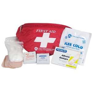  PhysiciansCare First Aid Fanny Pack, Contains 49 Pieces 