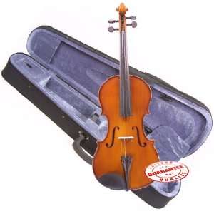  DLuca Student Beginner Violin Outfit 1/8 Musical 