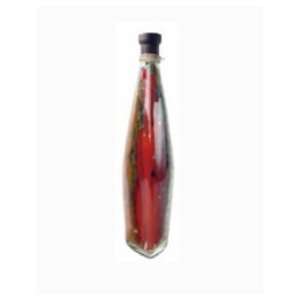  Longden Enterprises GEB4912 Canoa 19 in. Vinegar Bottle 