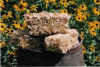 SMALL HAY BALES FOR DECOR~  