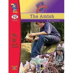  Amish Adventure Lit Link Gr 7 8 Toys & Games