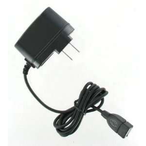   and Home Charger for Flip Video Camera Camcorder