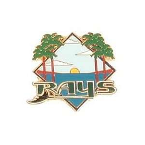  Baseball Pin   Tampa Bay Devil Rays City Pin by Aminco 