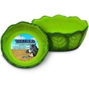    Super Pet Vege T bowl Green Ceramic Bowl   Medium