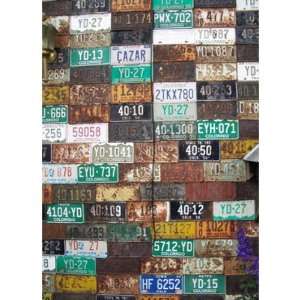 License Plate Backdrop / Background by Pizip   P0004